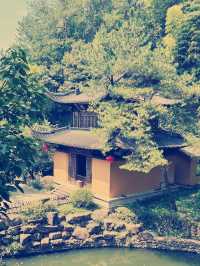 建徳玉泉寺　禅の世界への旅