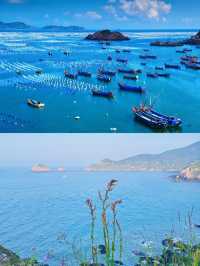 在上海周邊挖到寶！枸杞島夏日玩水超開心～