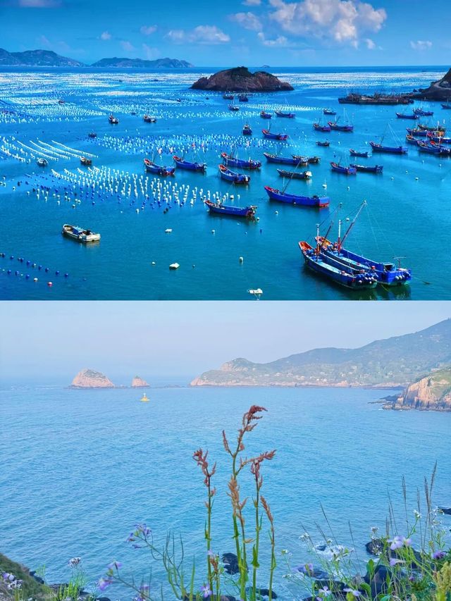 在上海周邊挖到寶！枸杞島夏日玩水超開心～
