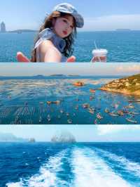 被枸杞島實力圈粉！上海周邊嘅神仙海島