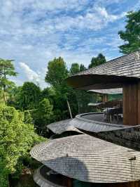 BANYAN TREEHOUSE  in Mandani Resort Singapore🤩
