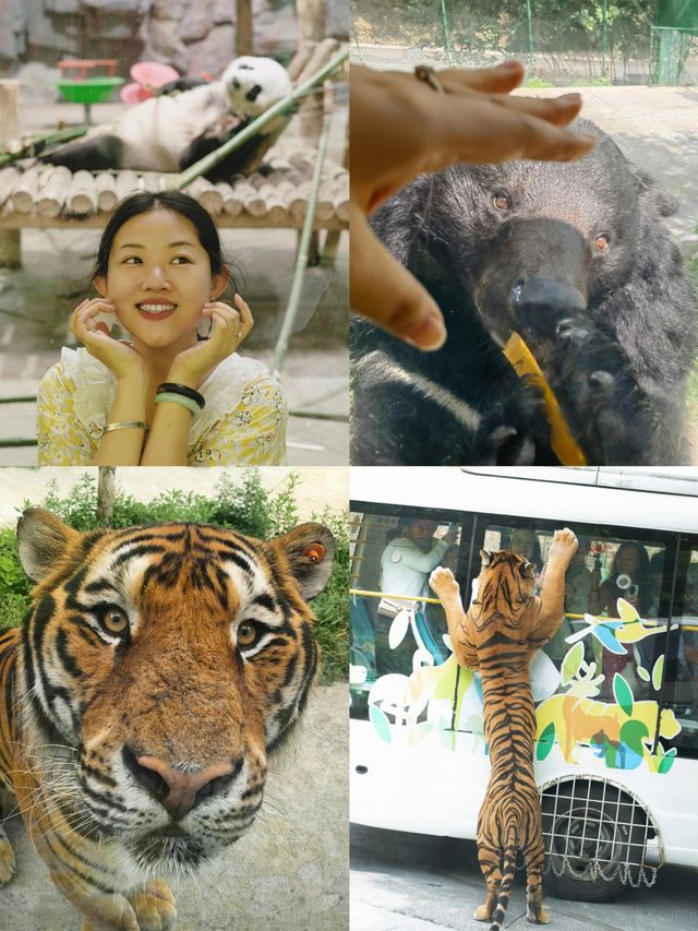 35℃高溫預警！我搵到中原絕美避暑勝地欒川3日2夜完美攻略