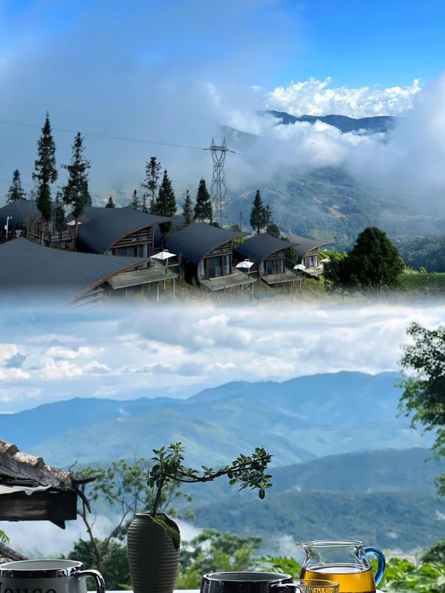 雲南普洱旅遊攻略