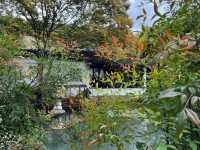 去咗4次留園，終於玩到明！