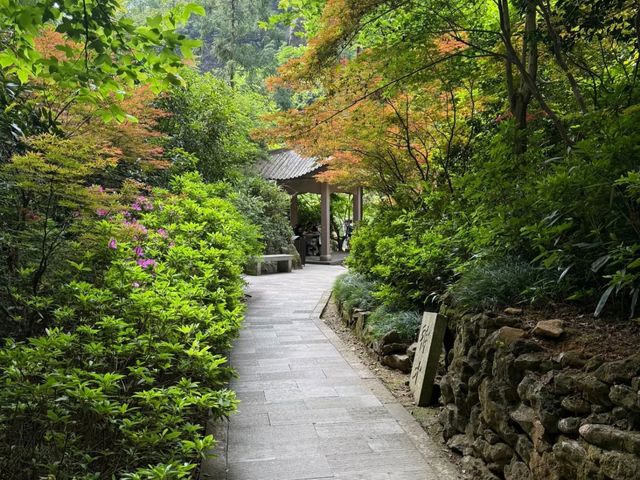 去咗4次雁蕩山，終於玩到明！