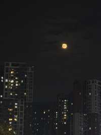 มาจีนแล้ว ต้องมาเมืองแพนด้าให้ได้