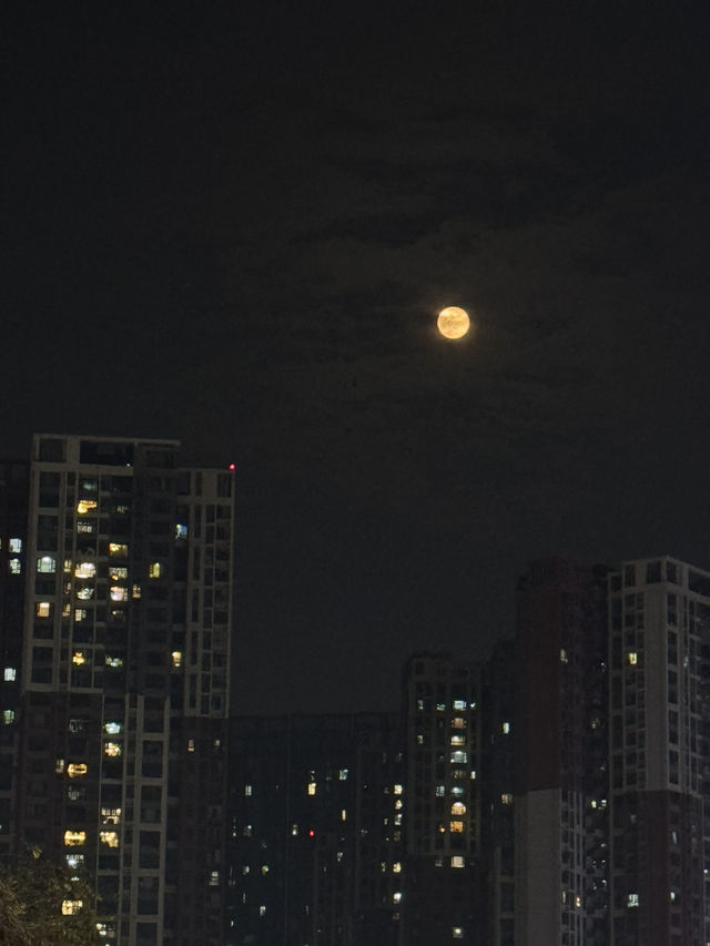มาจีนแล้ว ต้องมาเมืองแพนด้าให้ได้