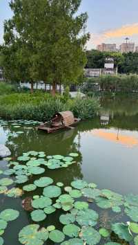 南充兩日遊攻略