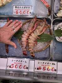 Highlights of Tokyo for 5 days: 