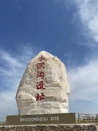 黃沙深處，尋一枚文明的火種