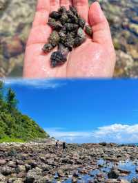 深圳&周邊趕海湊仔秘笈 帶娃挖蜆、捉蟹超減壓！