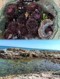 深圳&周邊趕海湊仔秘笈 帶娃挖蜆、捉蟹超減壓！