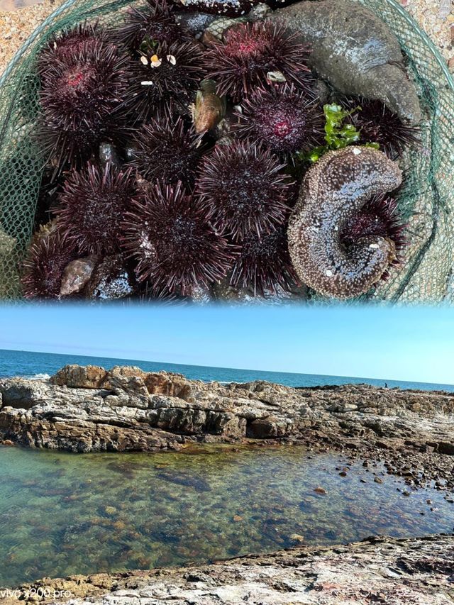 深圳&周邊趕海湊仔秘笈 帶娃挖蜆、捉蟹超減壓！