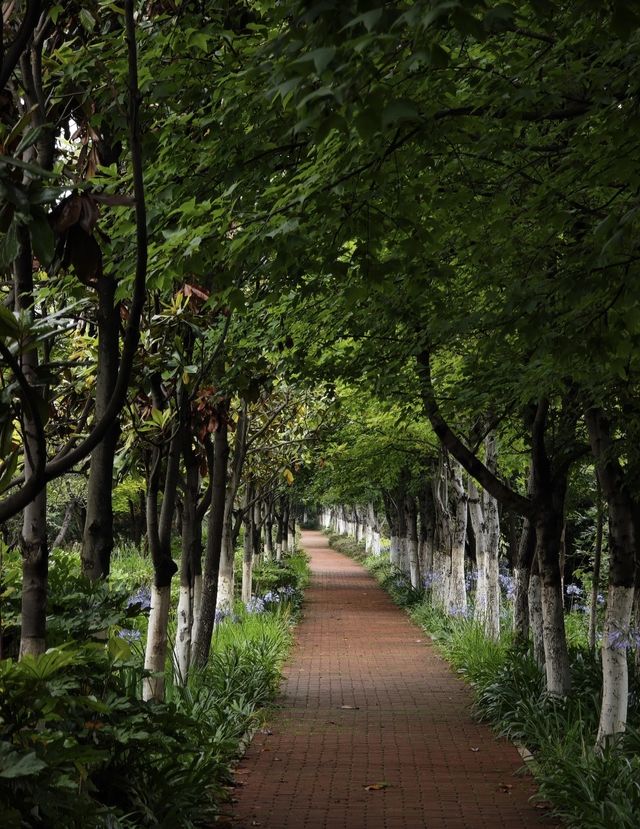 滇池私密觀景台曝光