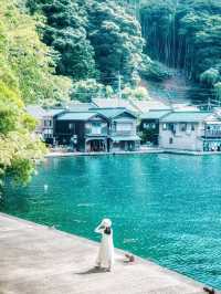 伊根灣絕美海景