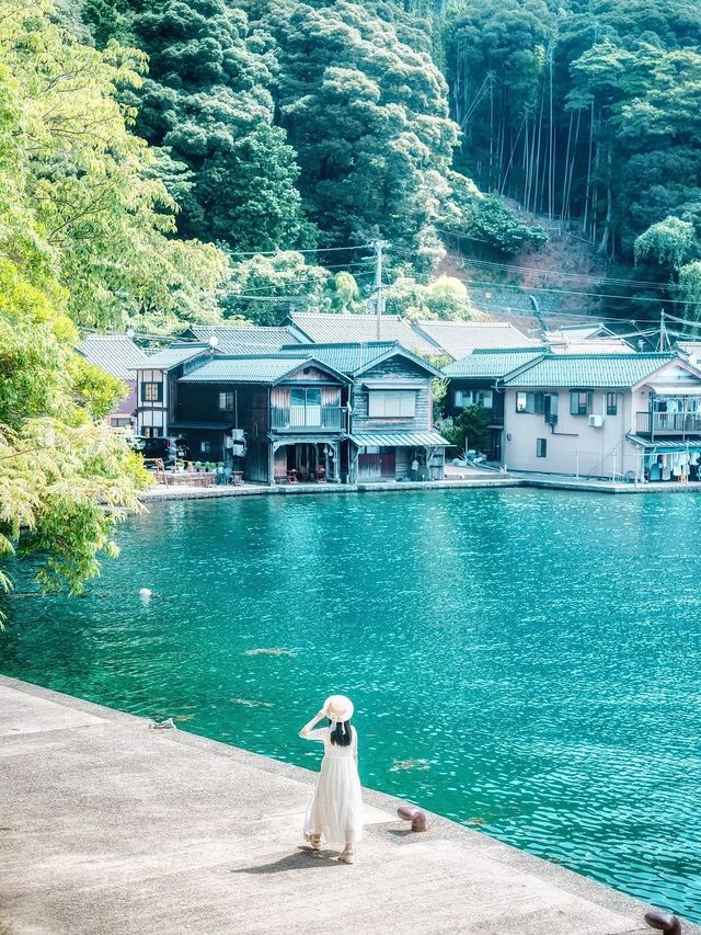 伊根灣絕美海景
