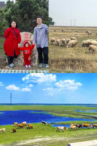 Wetland Grassland Photography Hotspot—Moon Lake Scenic Area