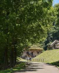 埼玉縣親子必去免費樂園