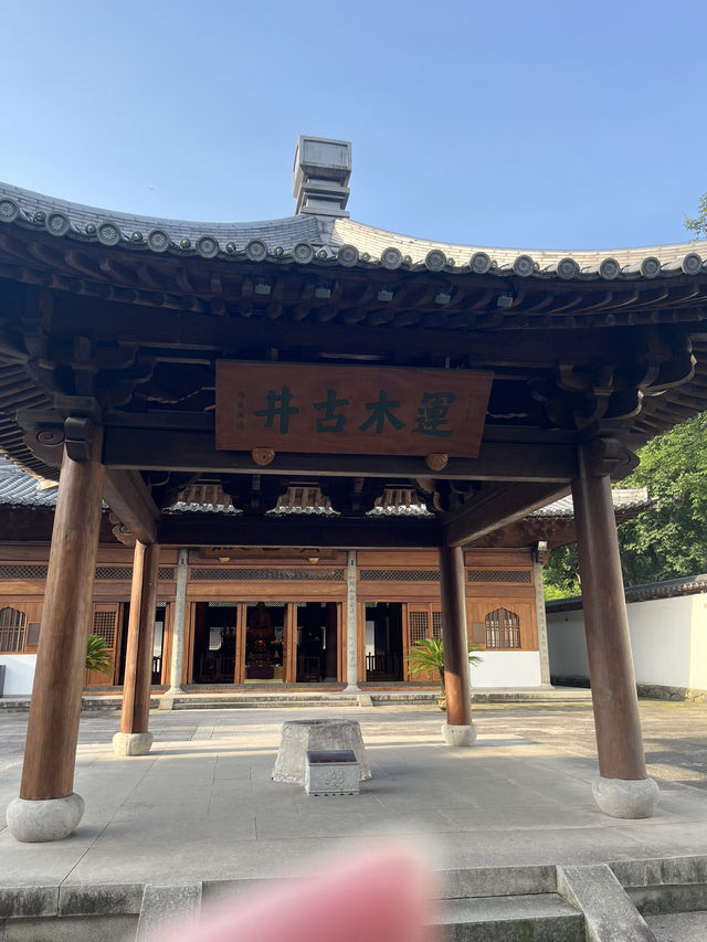 🌄【杭州秘境】拍雷峰塔絕美視角+濟公故事中的運木古井