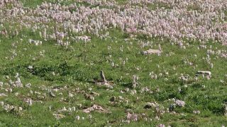 On a journey through the Northwest, Delingha, a small city surrounded by the Gobi Desert, always sparks endless imagination. Some say it's a city of poetry, others say it's the end of desolation,