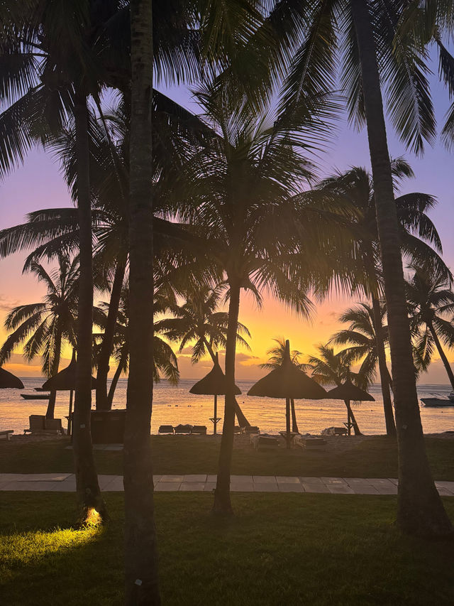 Tropical Paradise at Lux Le Morne