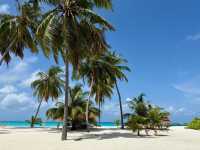 Island Paradise Awaits