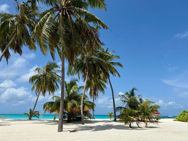 Island Paradise Awaits