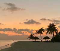 A Slice of Paradise