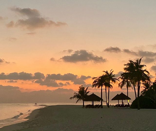 A Slice of Paradise