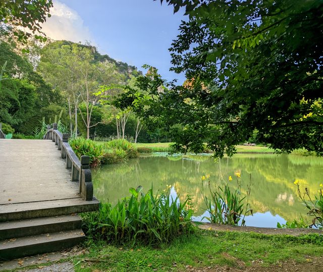 柳州秘境!龍潭公園綠野仙蹤+靜蘭灣玻璃水,城市度假天花板!  龍潭公園:喀斯特山水畫卷!柳州的綠肺 柳州秘境!龍潭公園綠野仙蹤+靜蘭灣玻璃水,城市度假天花板!  龍潭公園:喀斯特山水畫卷!柳州的綠肺