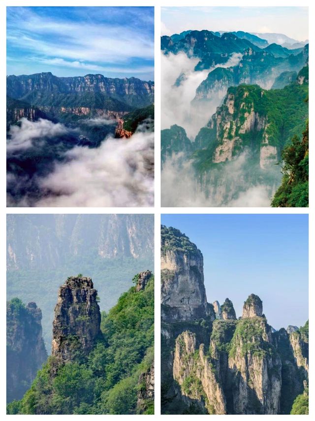 在王莽嶺 邂逅一場雲端的浪漫