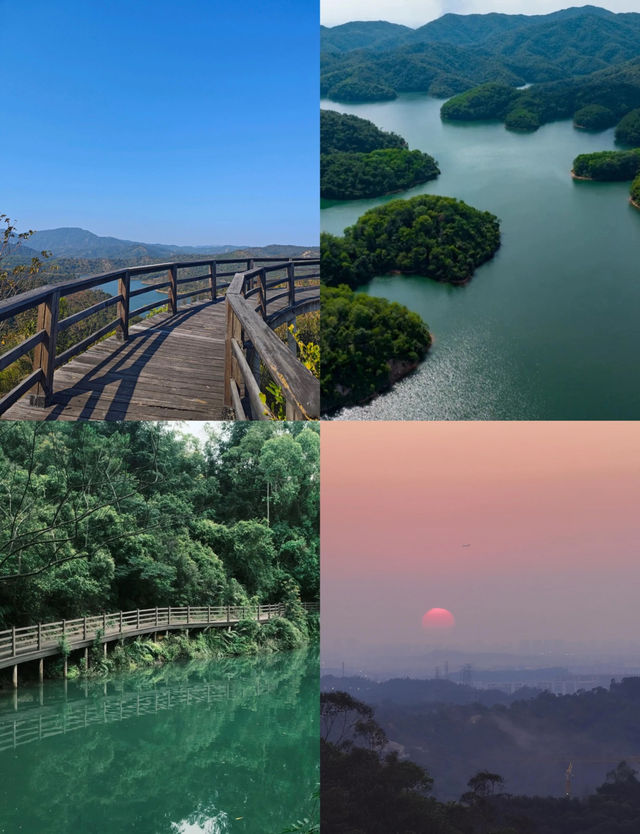 花都區九龍湖就應該去沒有天花板的地方