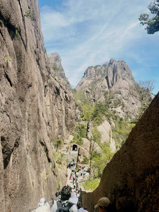 Scenic Peak Views of Huangshan ⛰️  