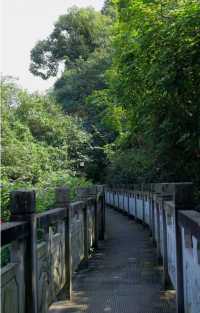 重慶半山崖線:28公里「空中走廊」,串連五園與春日粉色輕軌
