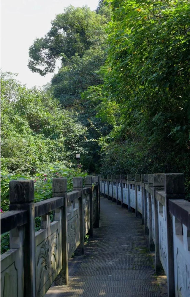 重慶半山崖線:28公里「空中走廊」,串連五園與春日粉色輕軌 重慶半山崖線:28公里「空中走廊」,串連五園與春日粉色輕軌