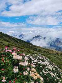 滇東秘境!曲靖深秋隱藏玩法上線,山水文化一鍵全含!