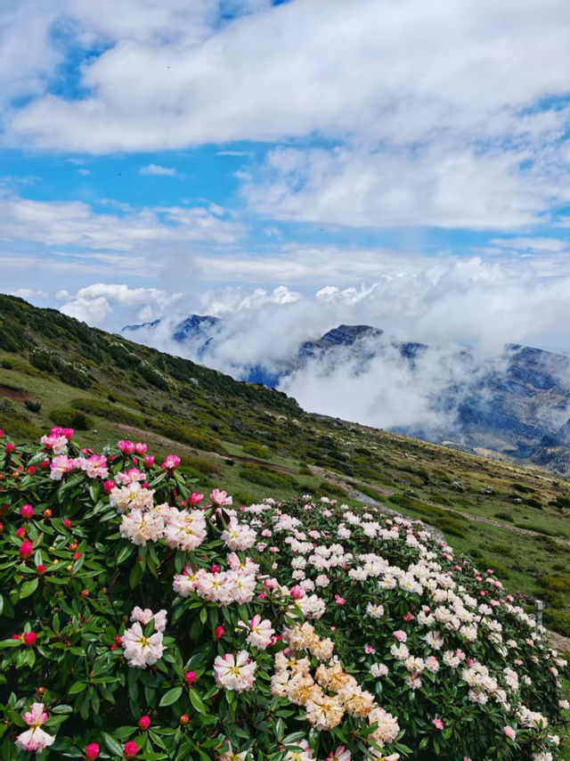 滇東秘境!曲靖深秋隱藏玩法上線,山水文化一鍵全含! 滇東秘境!曲靖深秋隱藏玩法上線,山水文化一鍵全含!