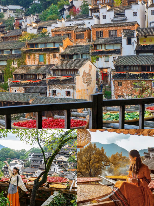 篁嶺曬秋打卡路線