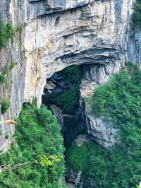 重慶仙女山國家森林公園：大自然之魅力的山野天堂