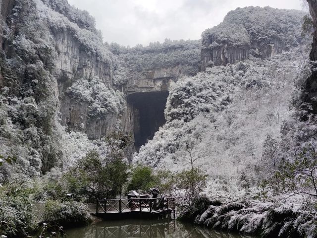 重慶下雪了！衝！仙女山2日遊保姆級攻略！