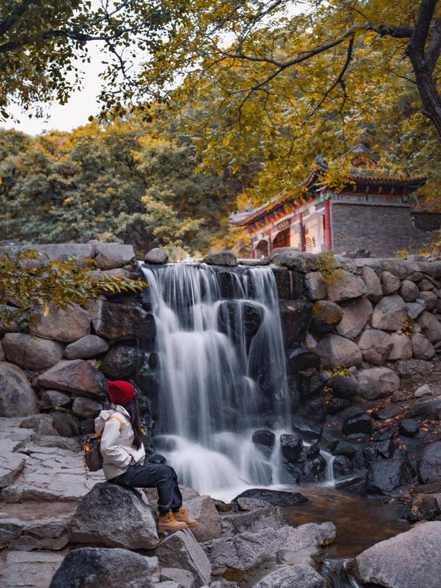 北京1.5h直達！乾隆32次踏足的仙山，秋日美成畫