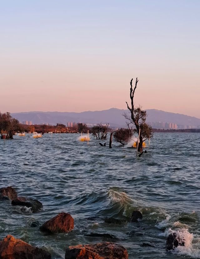 昆明王官濕地公園是滇池邊的生態休閒勝地,以下是一份遊玩攻略: 昆明王官濕地公園是滇池邊的生態休閒勝地,以下是一份遊玩攻略: