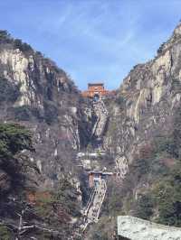 泰山