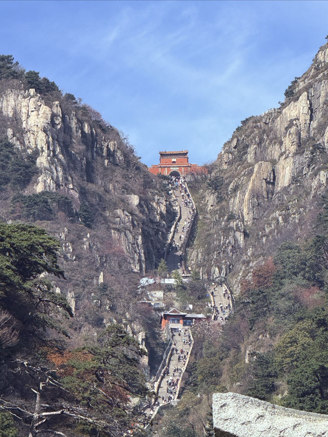 泰山