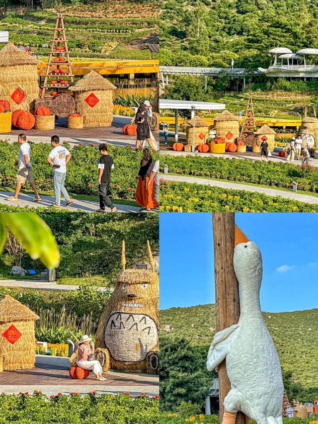 珠海金灣木頭沖村初秋遊玩全攻略:免費打卡海島風寶藏地 珠海金灣木頭沖村初秋遊玩全攻略:免費打卡海島風寶藏地