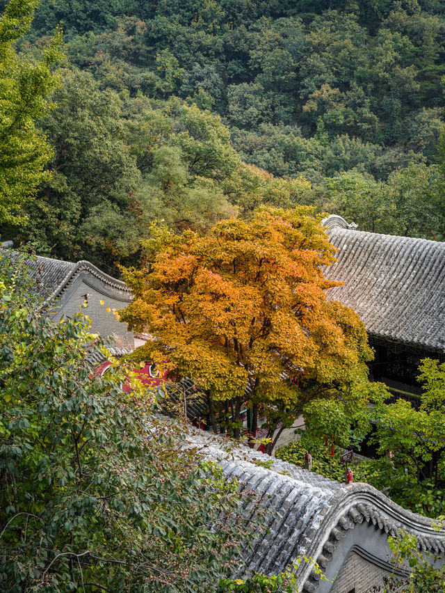 北京1h,終於有人把盤山攻略說明白了! 北京1h,終於有人把盤山攻略說明白了!