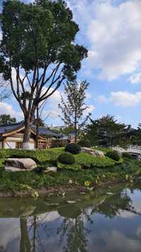 寶山寺紅楓全攻略