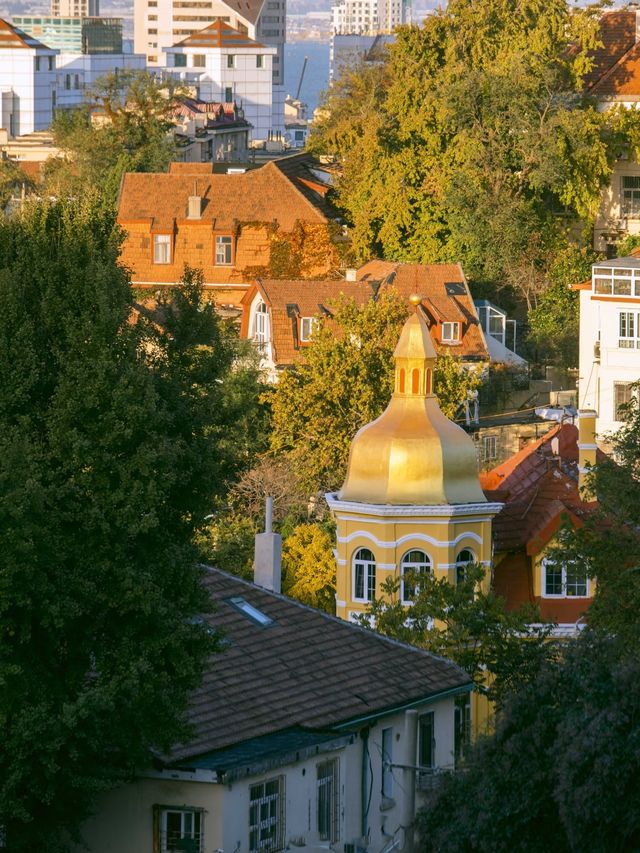 青島秋冬:闖進漫畫裡的治癒幀 青島秋冬:闖進漫畫裡的治癒幀