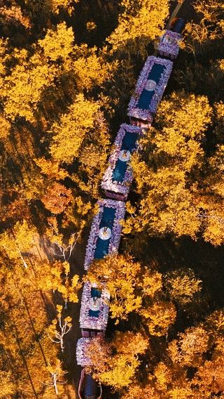 The autumn colors of Maling Mountain amaze the entire internet