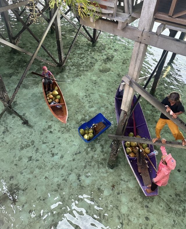 仙本那（馬布島卡帕萊）出片又玩好~